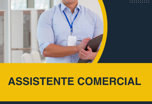 ASSISTENTE COMERCIAL
