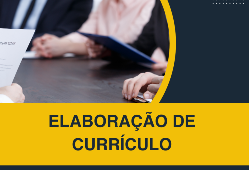 ELABORAÇÃO DE CURRÍCULO