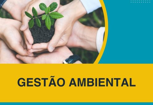 GESTÃO AMBIENTAL