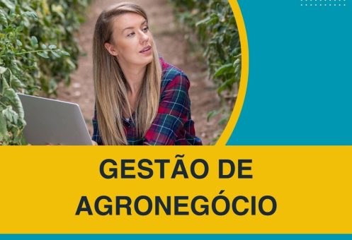 GESTÃO DE AGRONEGÓCIO