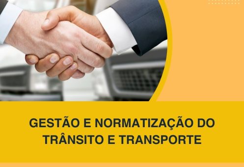 GESTÃO E NORMATIZAÇÃO DO TRÂNSITO E TRANSPORTE
