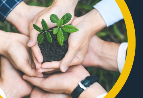 MBA EXECUTIVO EM GESTÃO AMBIENTAL