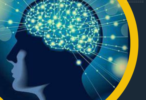 NEUROPSICOPEDAGOGIA