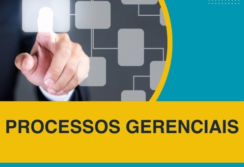 PROCESSOS GERENCIAIS