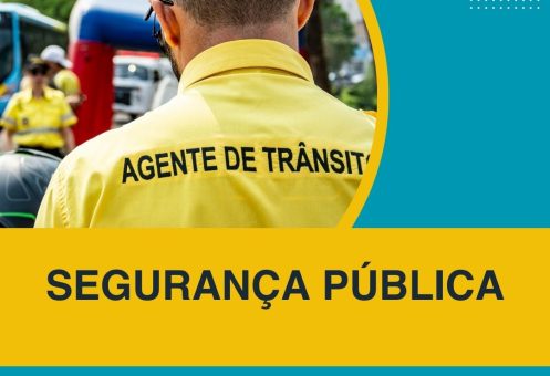 SEGURANÇA PÚBLICA