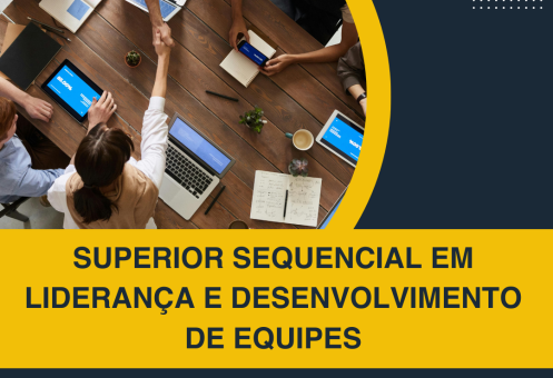 SUPERIOR SEQUENCIAL EM LIDERANÇA E DESENVOLVIMENTO DE EQUIPES